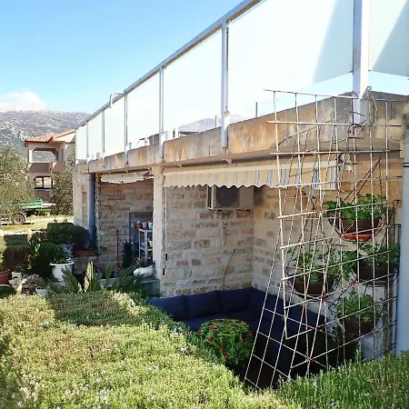 Blue Ivy Near The * ヤセニクセ